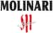 Logo featuring the text 'MOLINARI' in large black letters above a stylized red umbrella shape on a gray background.