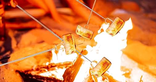 people roasting marshmallows over a campfire