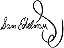 Handwritten signature in black ink, displaying the name 'Sam Edelman' with a stylized flourish at the end.