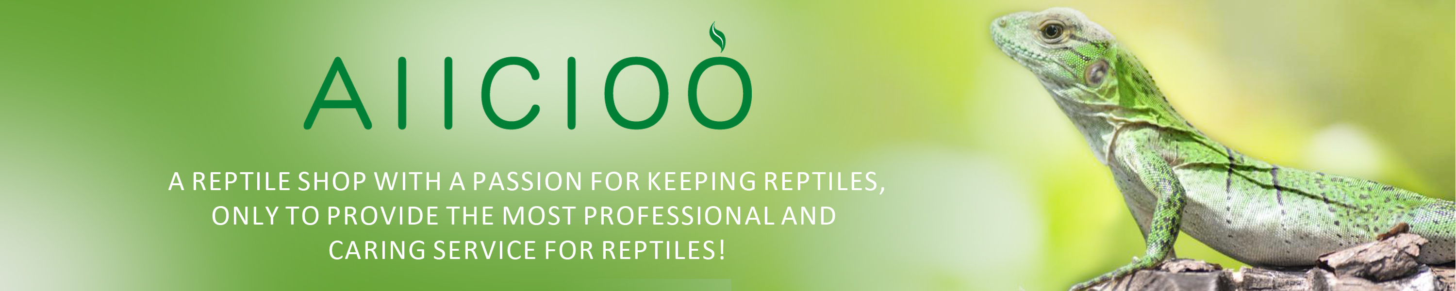 Amazon.de AIICIOO HEATER LAMP SOCKET&LAMP HOLDER