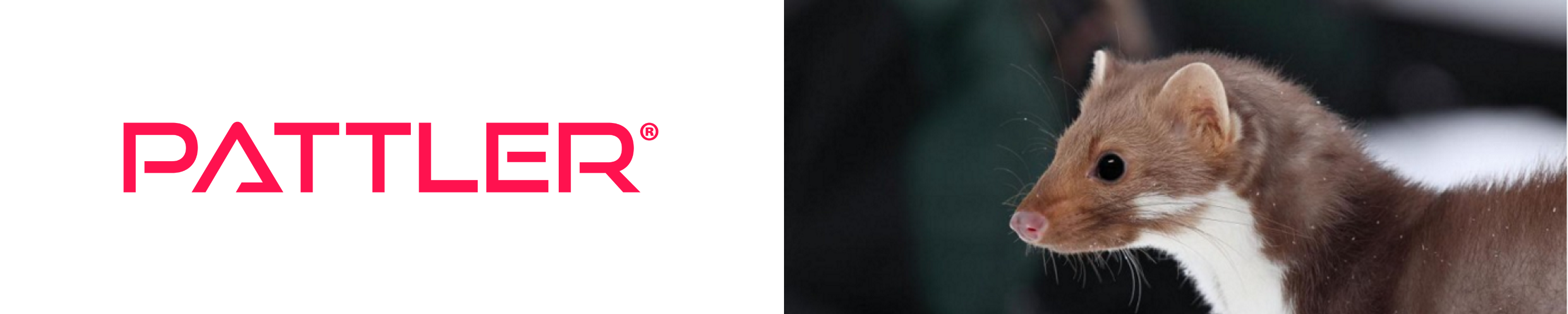 Amazon.co.uk PATTLER Marderschreck