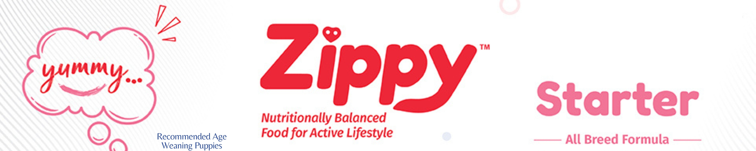 Amazon.in Zippy Zippy Starter