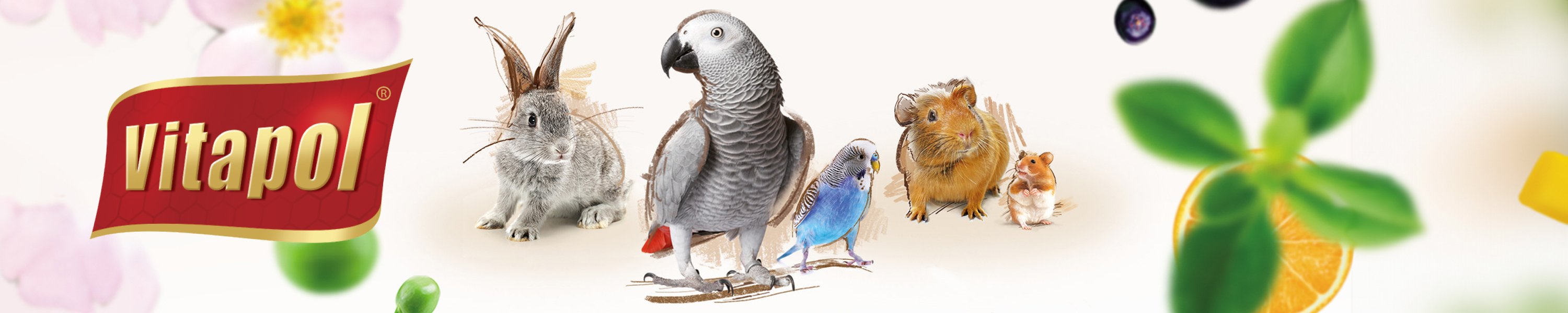 Amazon.in Vitapol Zebra finch and exotic birds