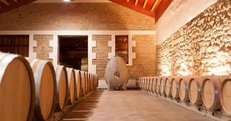 Interior de una bodega con hileras de barricas de madera de roble a lo largo de paredes de piedra. Una iluminación cálida ilumina las paredes de piedra texturizada y el techo abovedado de madera. Gran recipiente de fermentación de hormigón con forma de huevo visible en