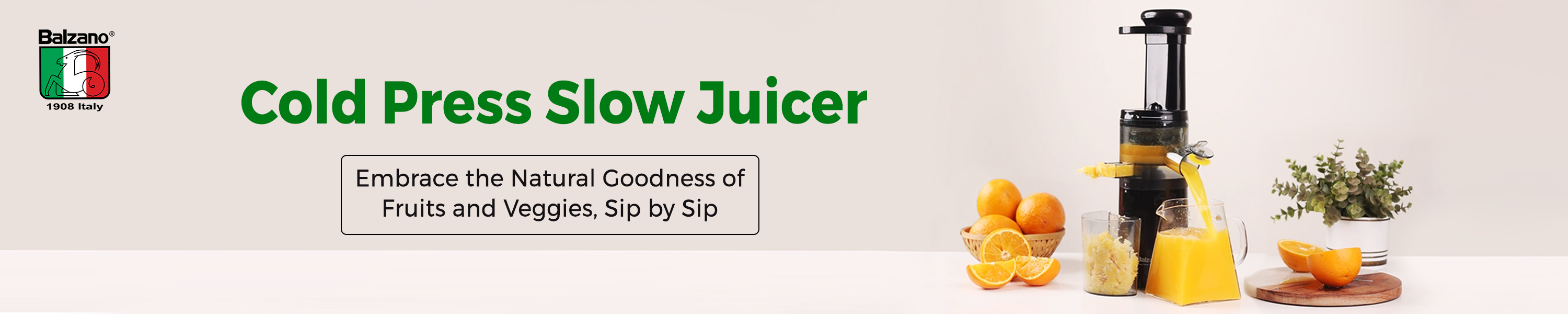 Amazon.in BALZANO Cold Press Juicer