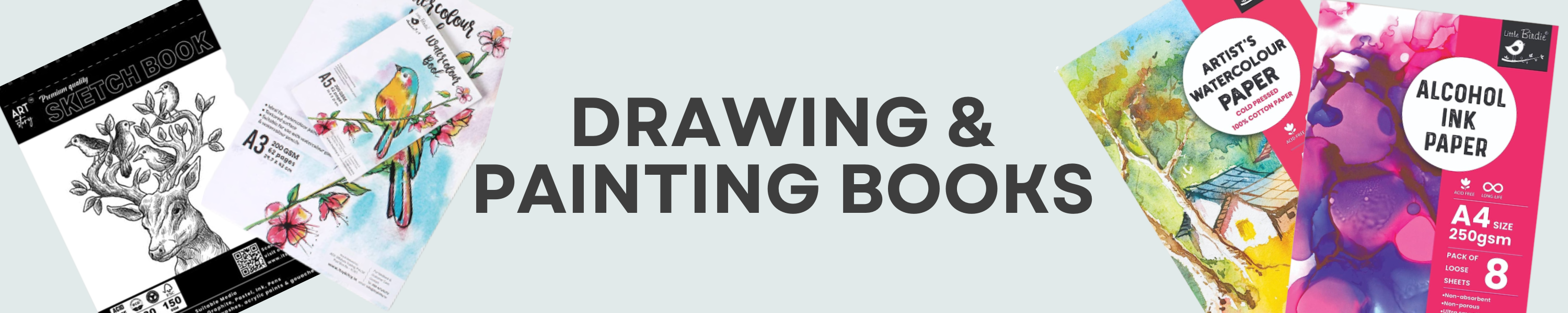 Amazon.in Little Birdie Drawing and Painting Books