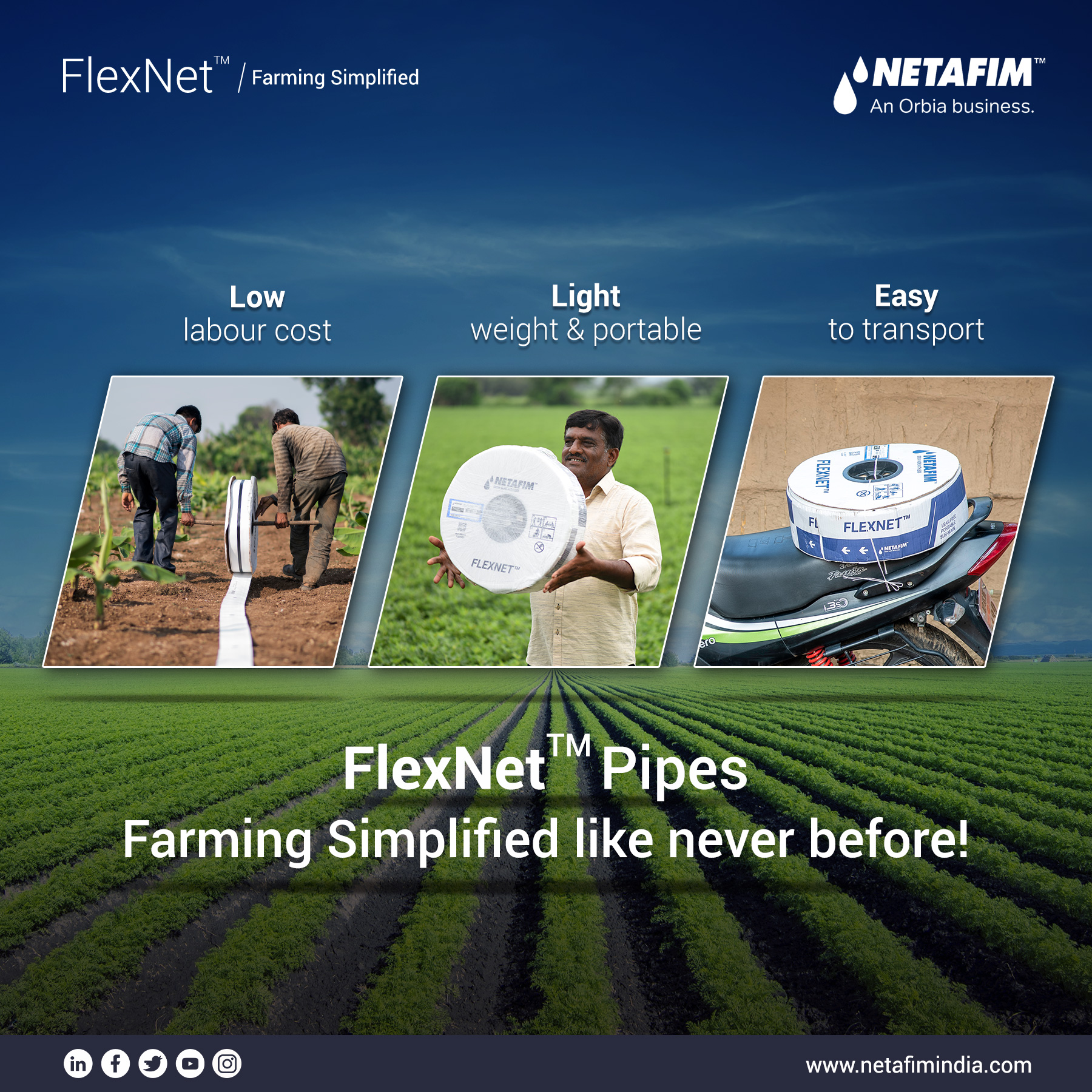 Amazon.in Netafim Portable Drip Kit