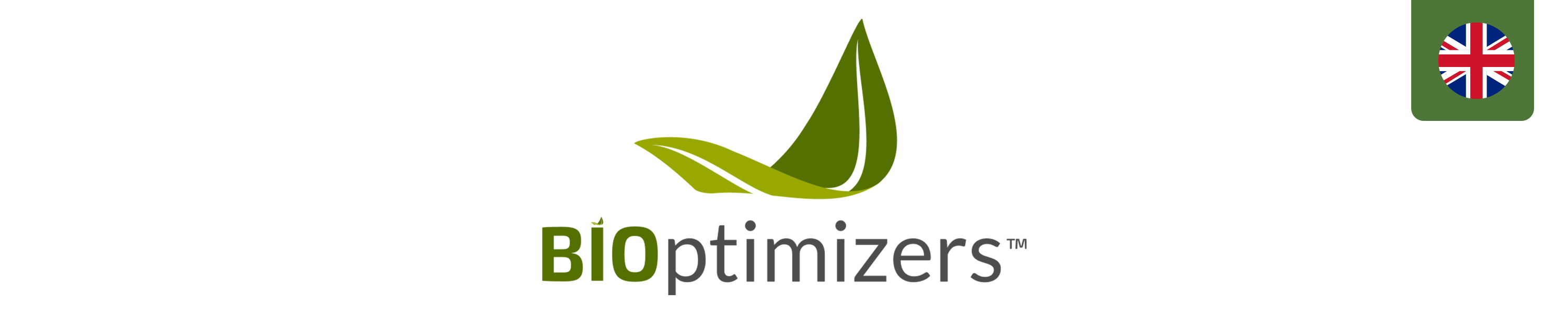 Amazon.co.uk BiOptimizers Gluten Guardian