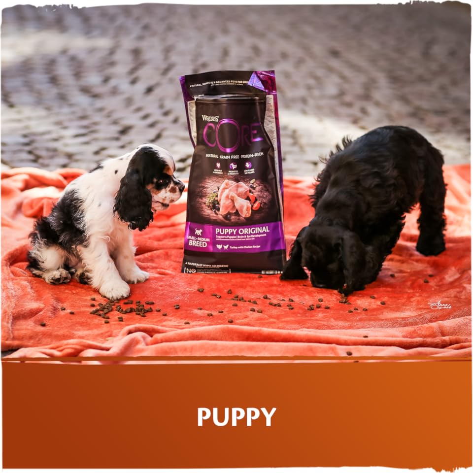 Amazon.co.uk Wellness CORE Dry Dog Food