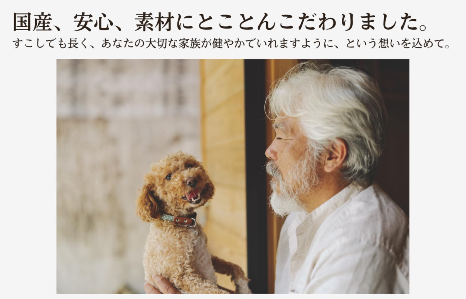 Amazon.co.jp: 犬猫生活