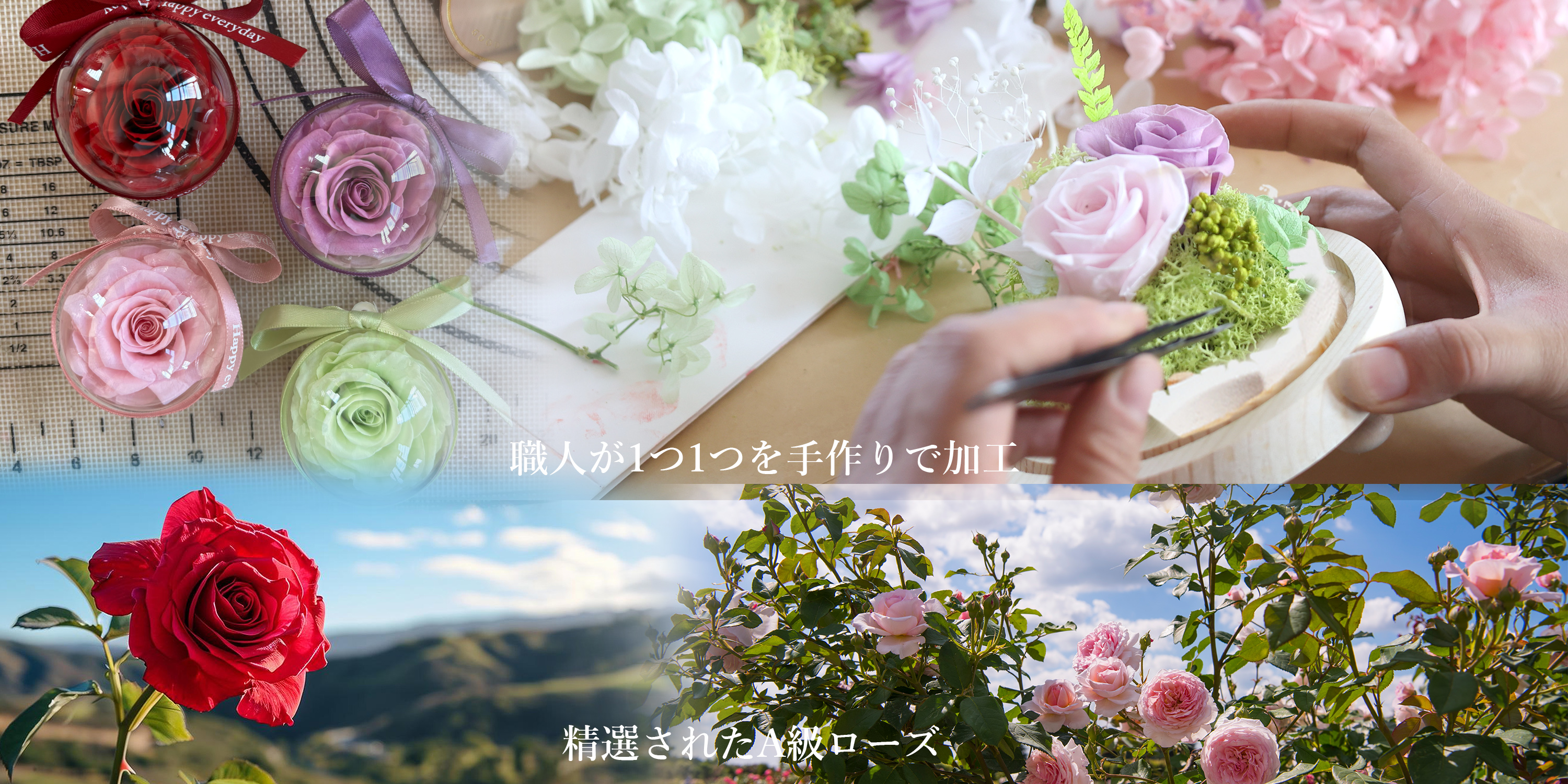 Amazon.co.jp: TIPGOUP