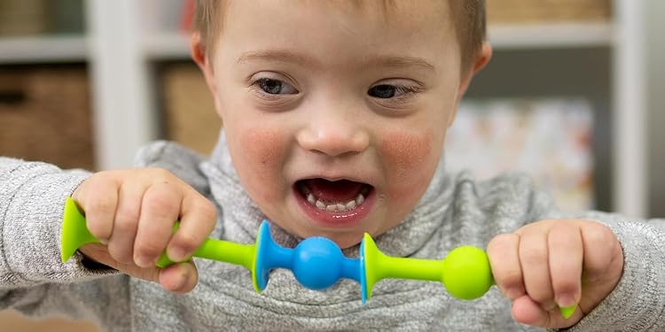 Amazon.co.jp: ファットブレイン(Fat Brain Toys): 2-3歳から