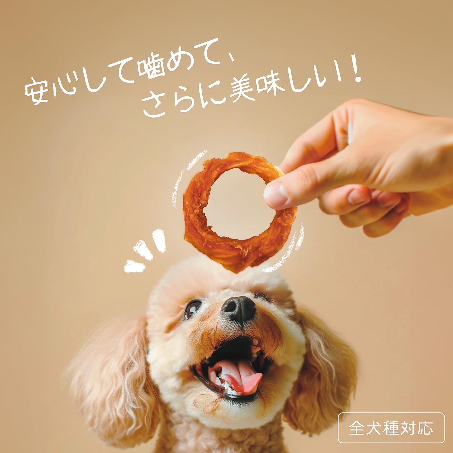 Amazon.co.jp: Gootoe