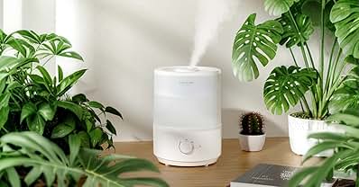 Amazon.co.jp: ボネコ 加湿器