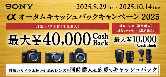 SONY - shimcha21人気！かわいい☆SONYダイヤカット❤︎ホワイト 商品一覧 | ソニー