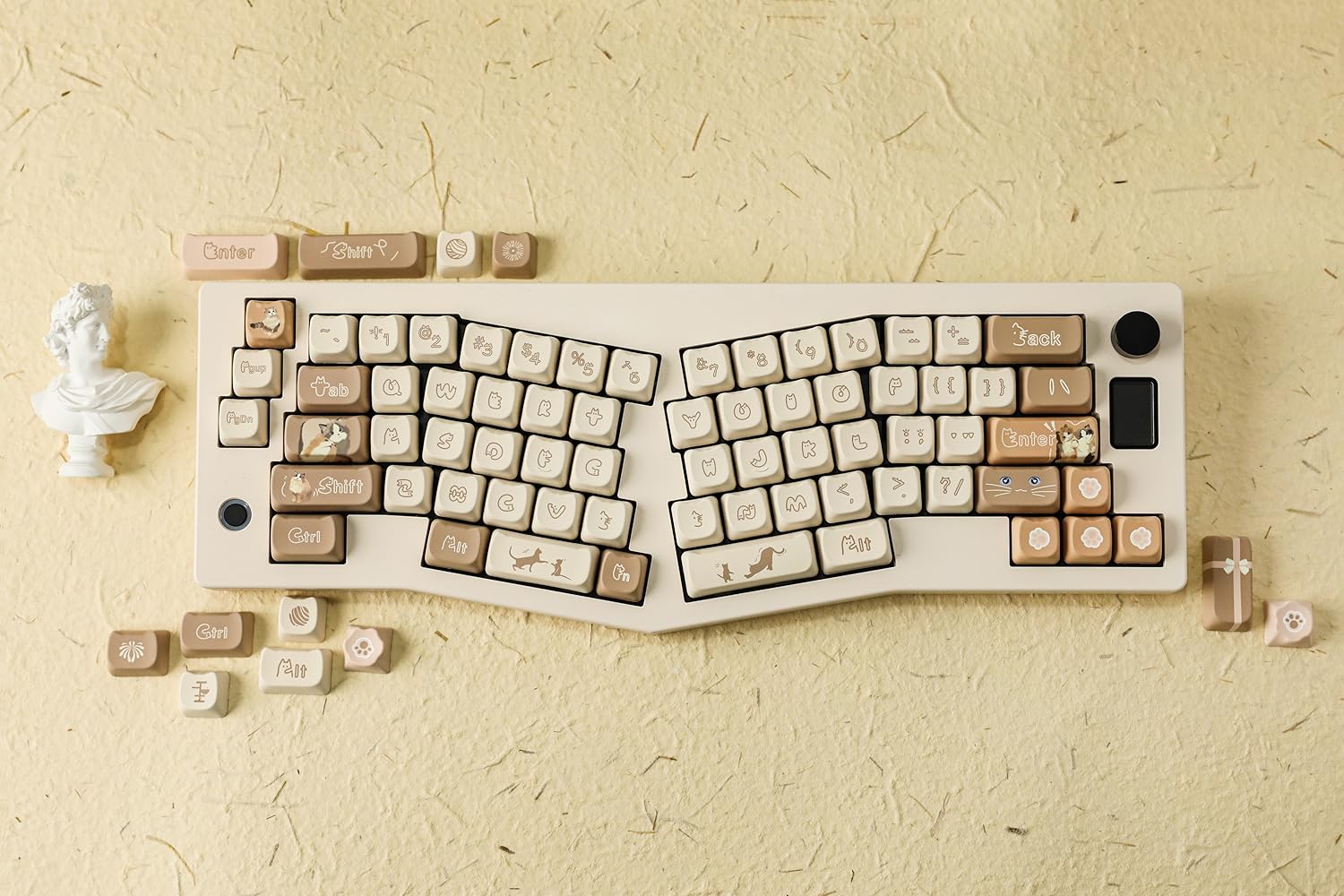 1772d466-a6f8-4fed-bad4-