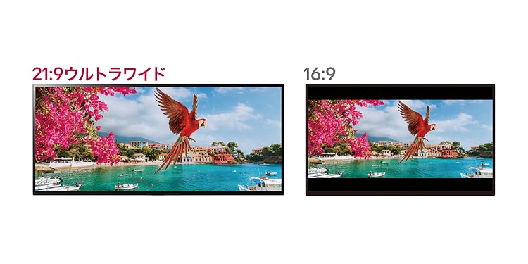 ⭐︎最終値下げ⭐︎早いもの勝ち⭐︎LG 29インチ 21:9ウルトラワイドモニター 公式】 LG 21:9 ウルトラワイドモニター - 29WP500-B | LG JP