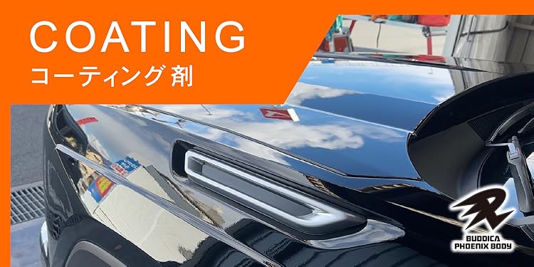 【最安値】即購入歓迎　バディカ フェニックス ボディ 3点セット　PHOENIX 最安値】即購入歓迎 バディカ フェニックス ボディ 3点セット