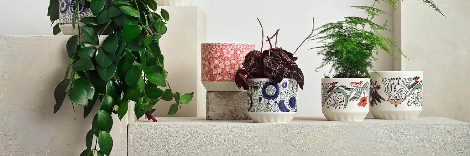 Amazon.co.jp: アラビア: プラントポット