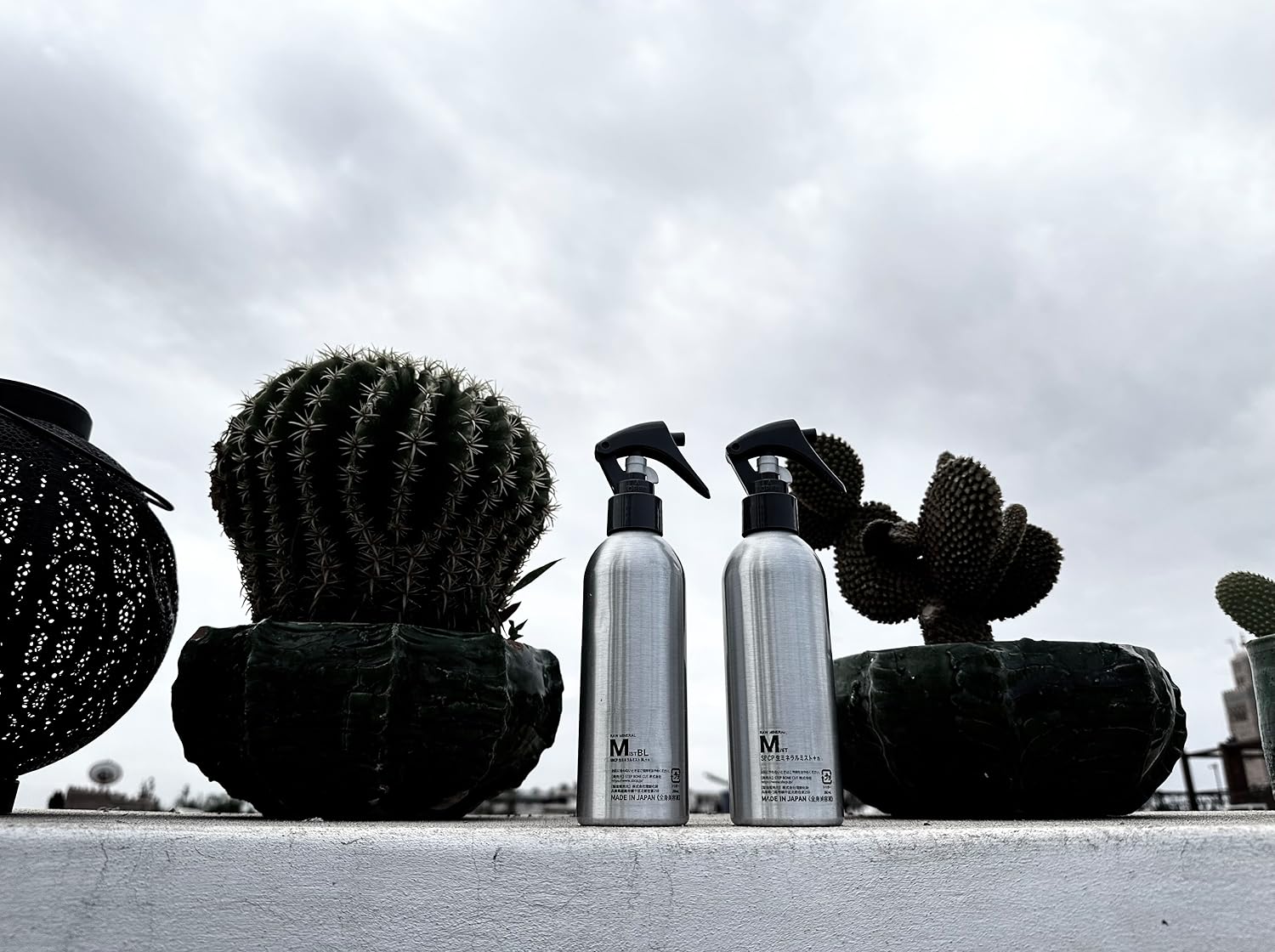 Amazon.co.jp: stepbonecut