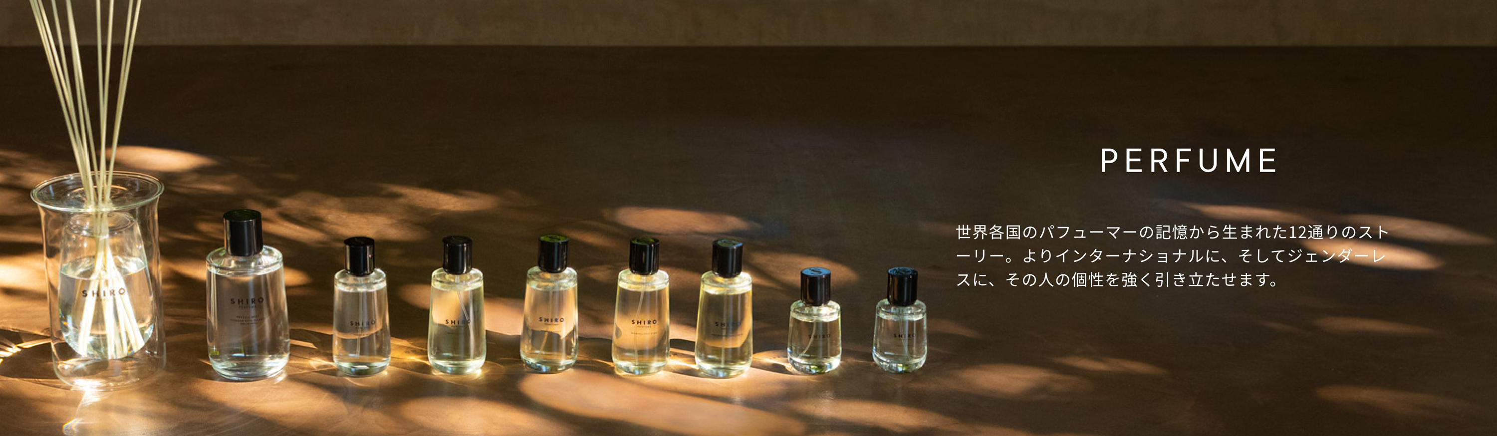 PRADA SHIRO clapper 65 香水3本セット Amazon.co.jp: SHIRO: パフューム
