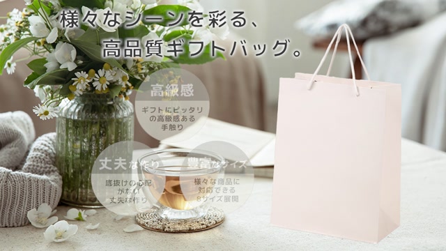 Dior ディオール ショッパー専用 ビニールバッグキット Dior ディオール ショッパー専用 ビニールバッグキット セット