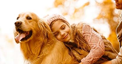 Amazon.co.jp: 津留晃一 幸せテクニック 本 : おもちゃ