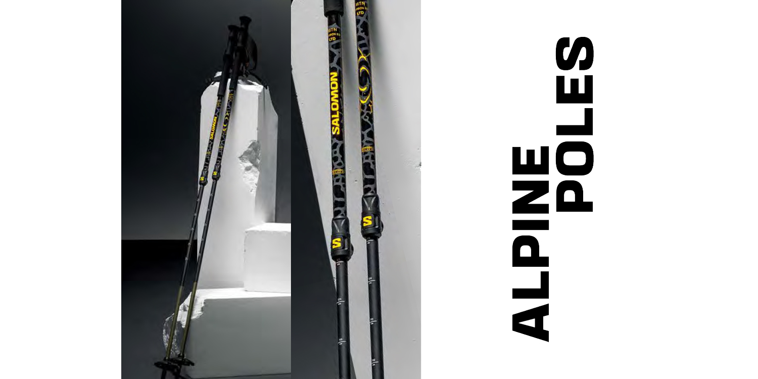 SALOMONの ADDIKT170cmにシナノポール、tcsバンド付 SALOMONの ADDIKT170cmにシナノポール、tcsバンド付 SALOMONの