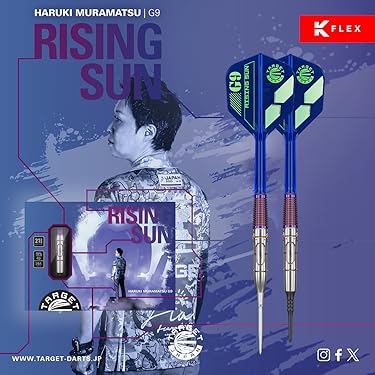 【C〜ちゃんさん専用】TARGET(ターゲット) NASTRI 01 & 02 TARGET（ターゲット） | ビリヤード＆ダーツ【イーアールスポーツ】