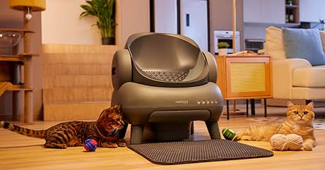 Neakasa（ネアカサ）