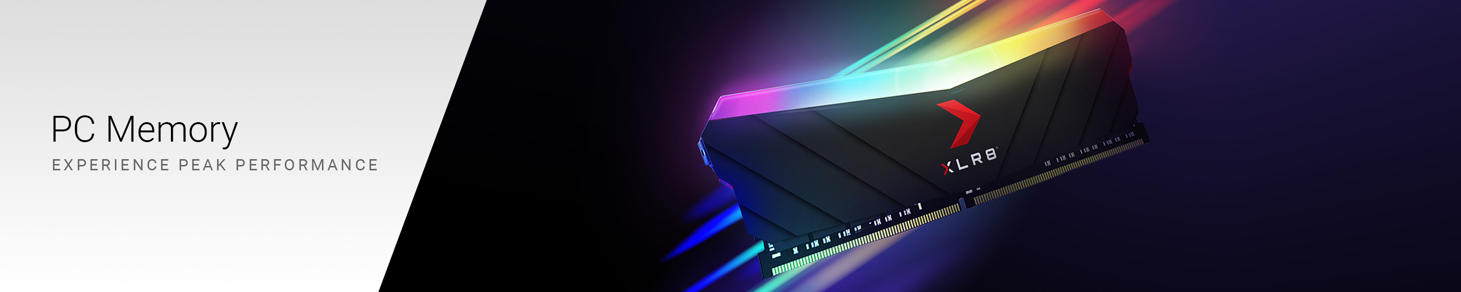 PNY Technologies Computer Memory