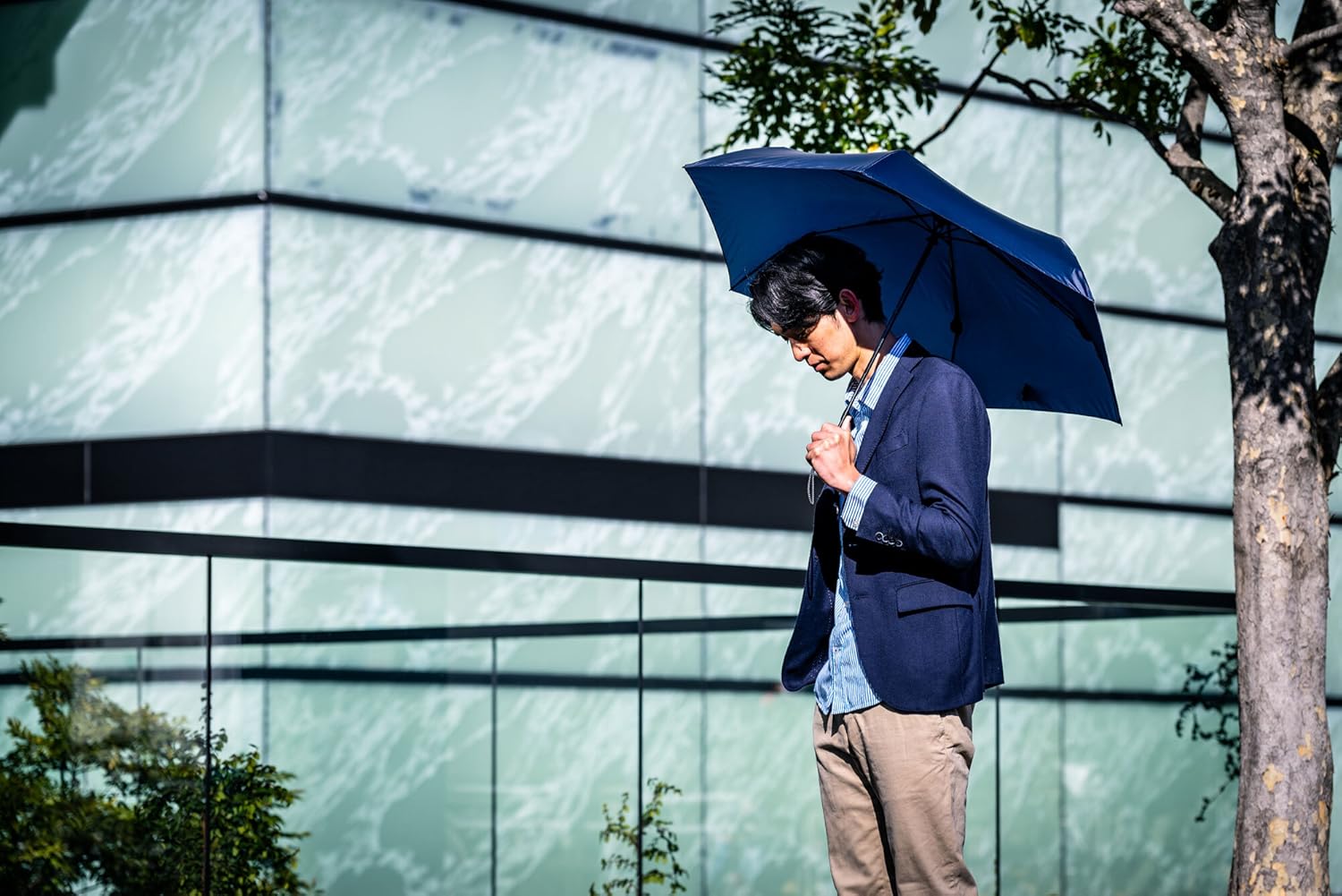 梅雨入りに ギフト用 新品トーナルクレストブリッジチェックアンブレラ2色〜選択可 梅雨入りに ギフト用 新品トーナルクレストブリッジチェック