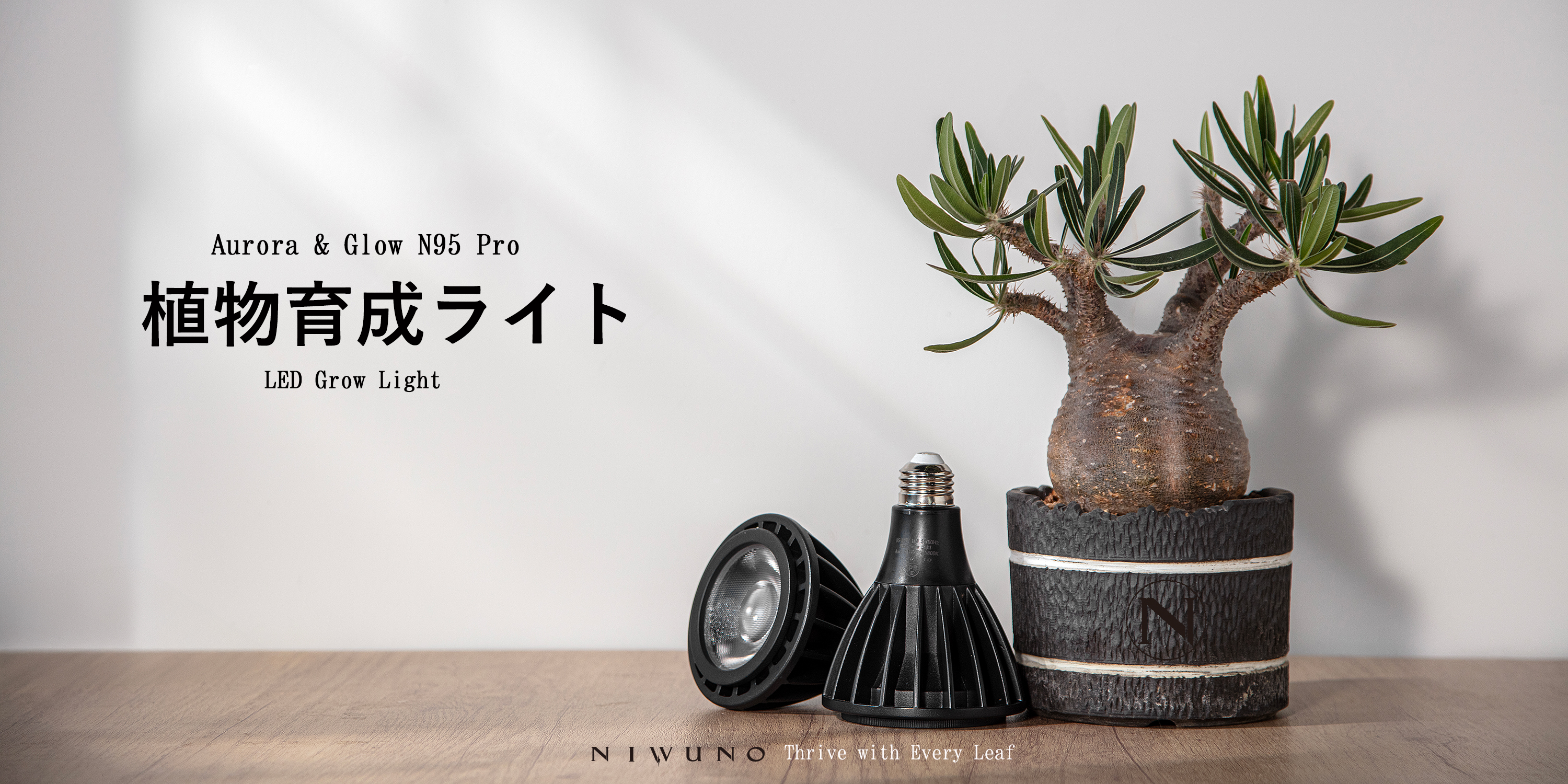 Amazon.co.jp: Niwuno