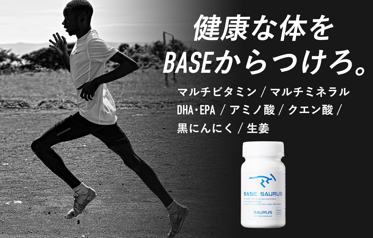 Amazon.co.jp: サウルス(SAURUS): ベース