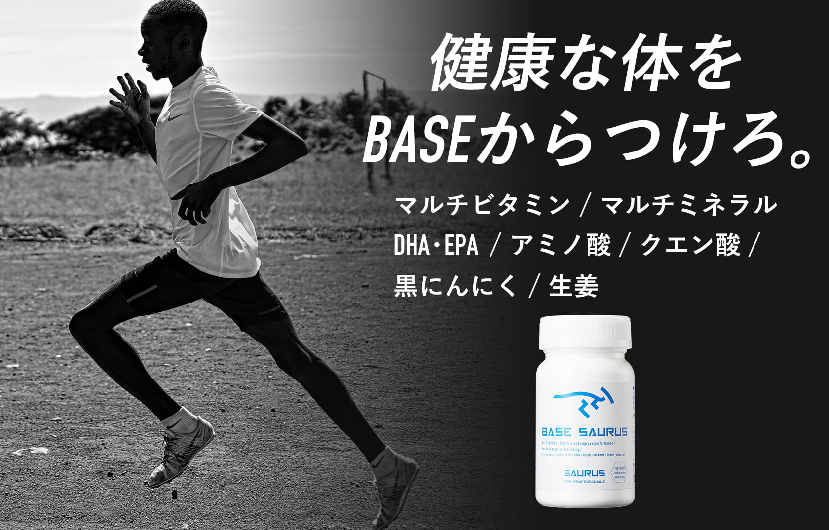 Amazon.co.jp: サウルス(SAURUS): ベース