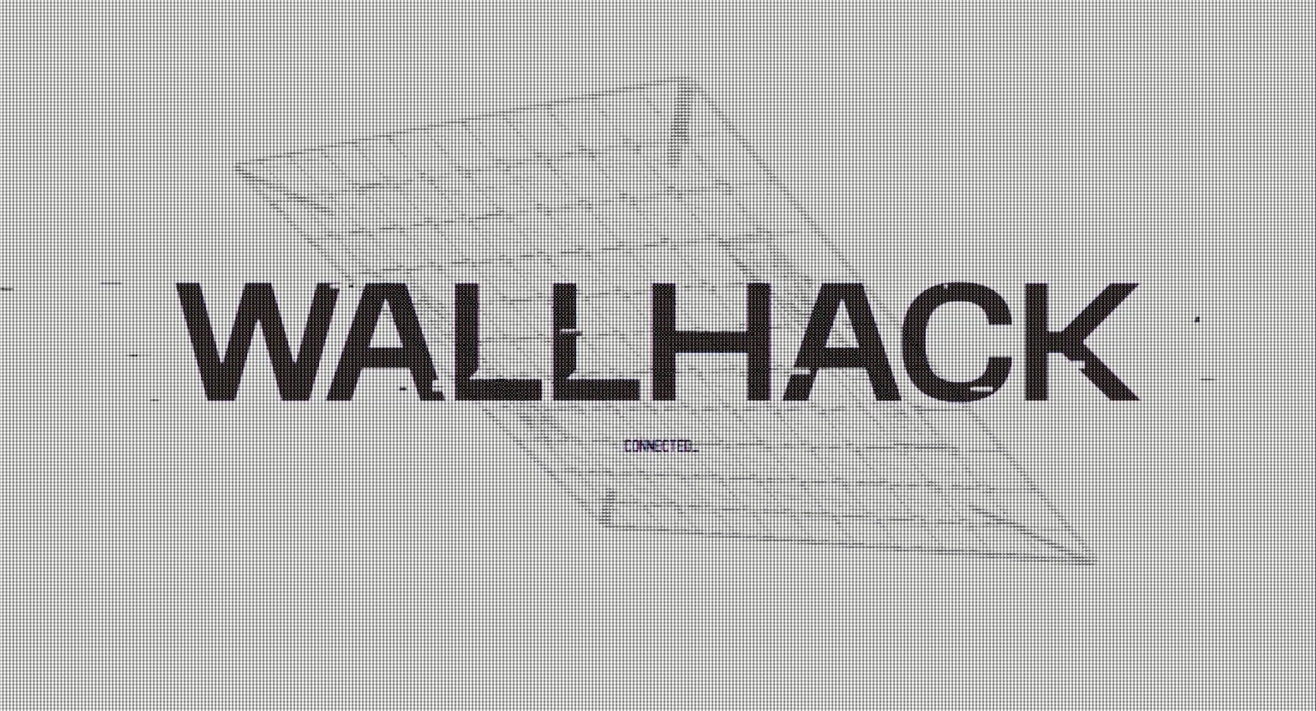 Amazon.co.jp: Wallhack