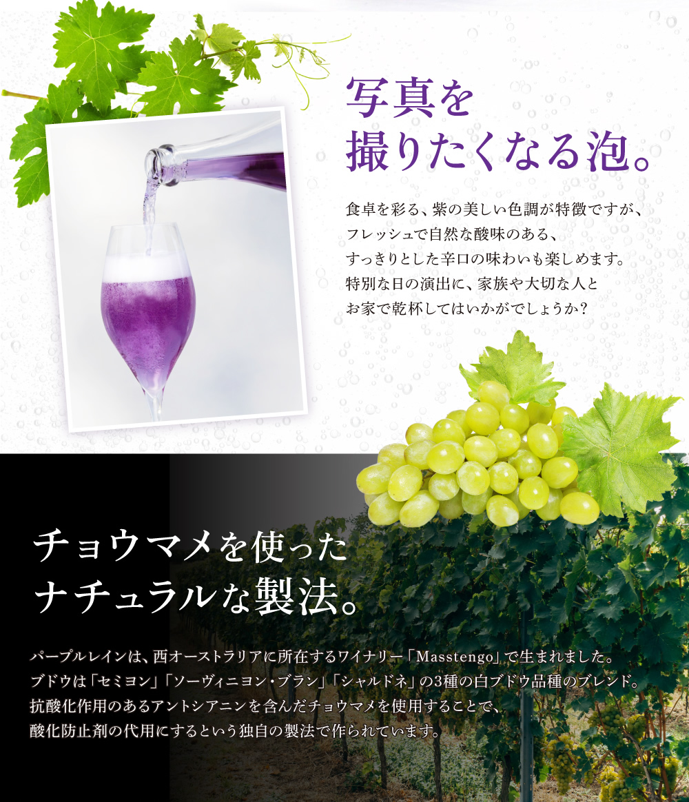 Amazon.co.jp: SHIZUKU JAPAN