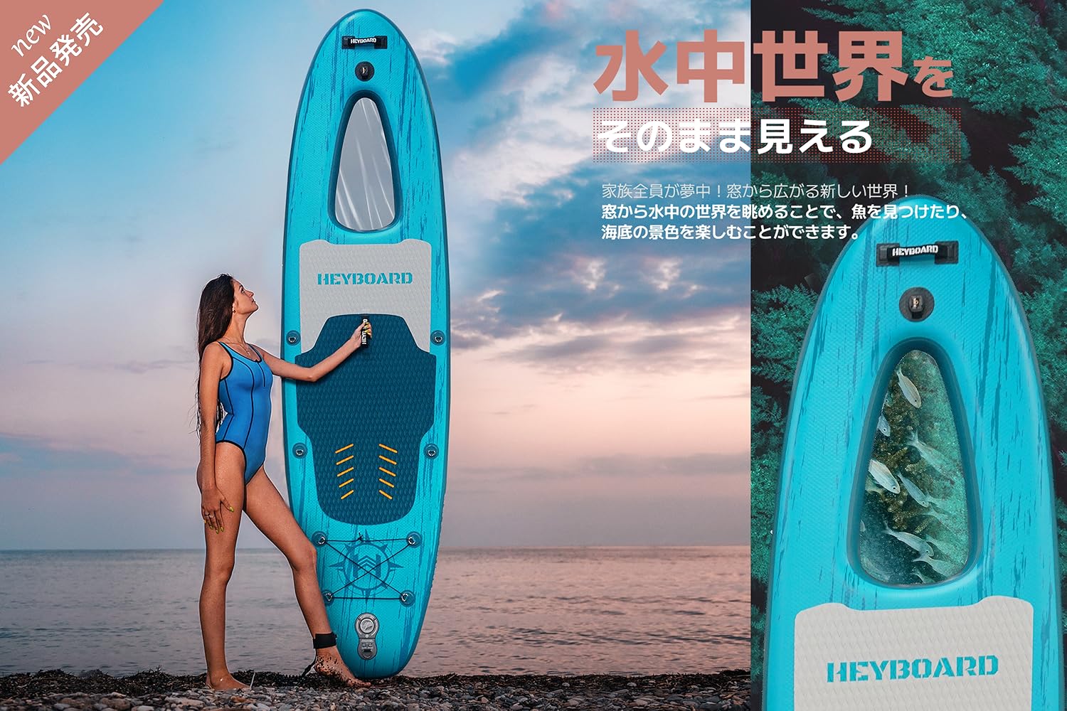 Amazon.co.jp: サップに初挑戦しましょう