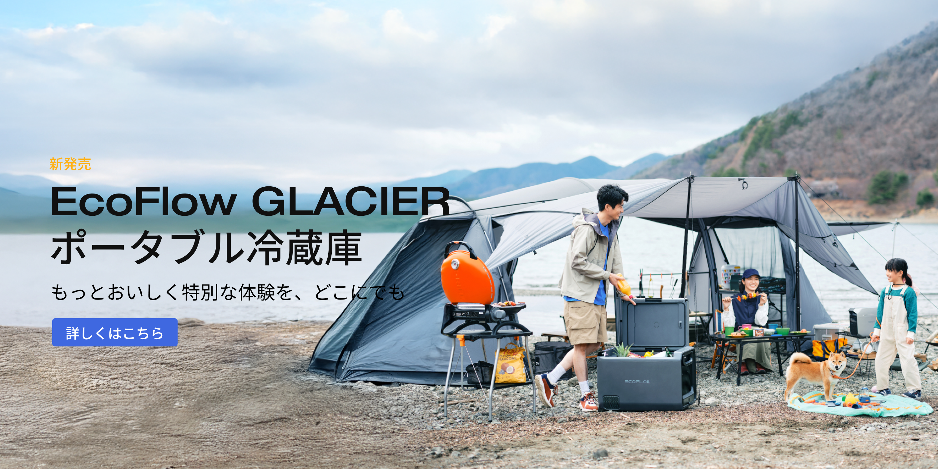 馬之助さん専用　 エコフロー WAVE2 箱入り新品 馬之助さん専用 エコフロー WAVE2 箱入り新品 馬之助さん専用