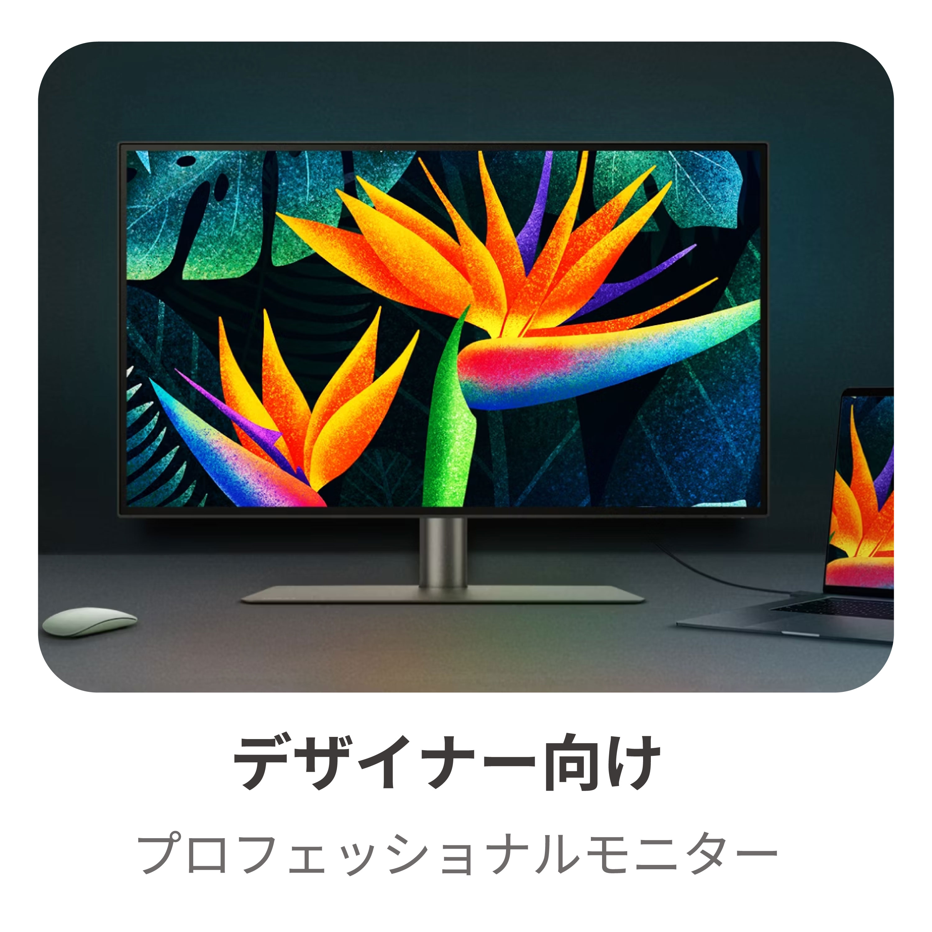 Amazon.co.jp: ベンキュージャパン: モニター