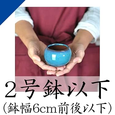 Amazon.co.jp: 盆栽妙: ▽鉢・受皿