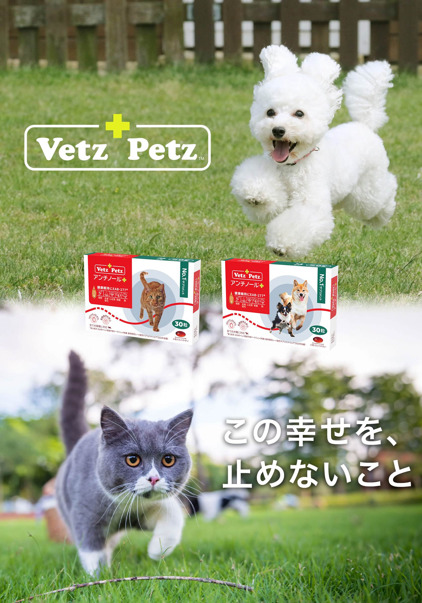 Vetz Petz アジチノール 90粒 30粒セット 犬のサプリメント【アンチノール プラス】– ベッツペッツ公式サイト