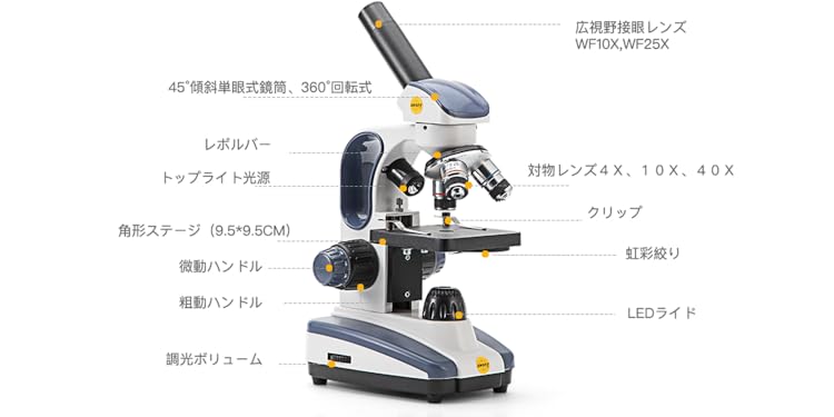 ❤色収差を低減するプロ用レンズ搭載❣最大1000倍率の本格派♪❤単眼生物顕微鏡 Amazon.co.jp: SWIFT: 生物顕微鏡