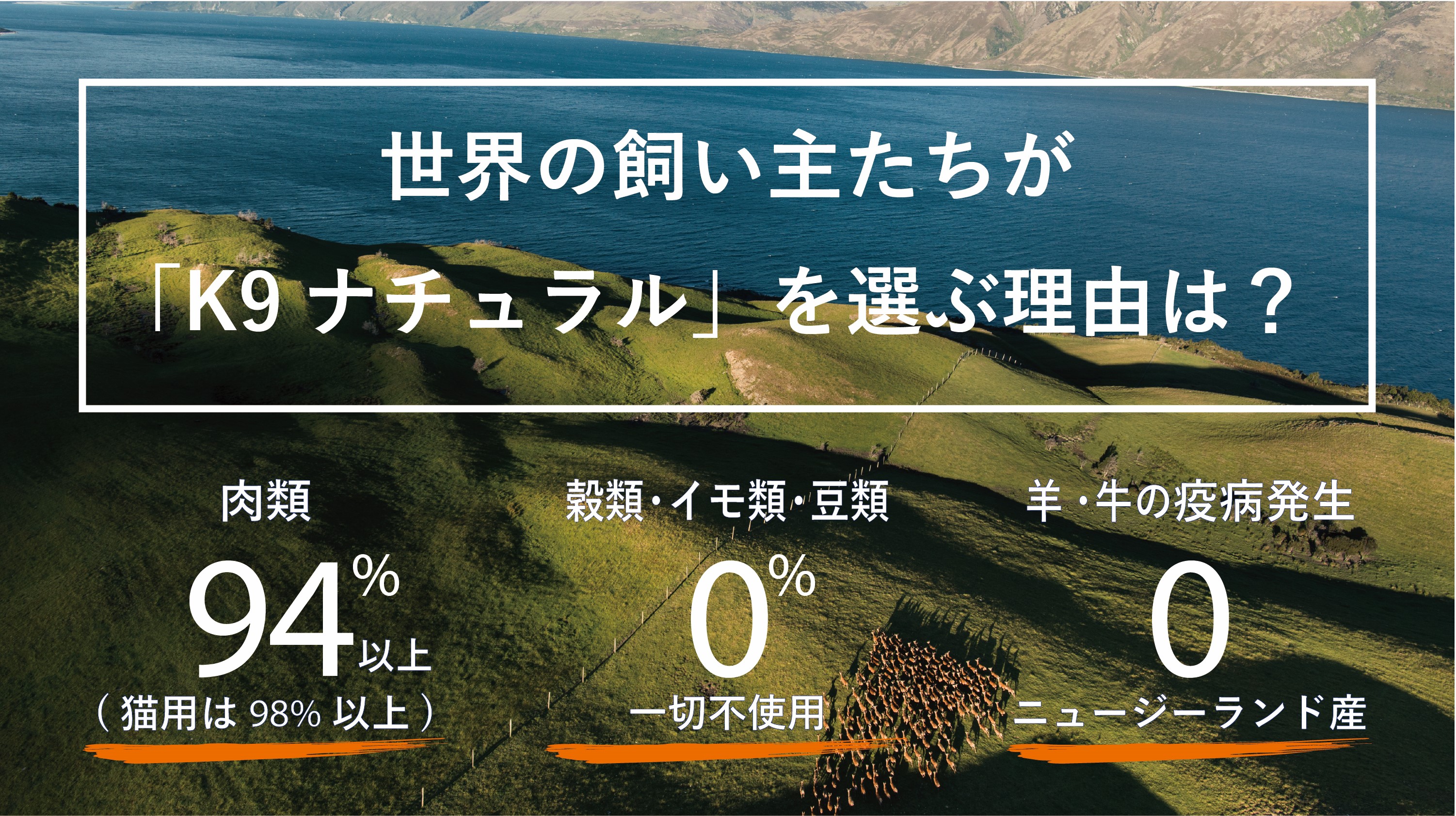 Amazon.co.jp: K9ナチュラル