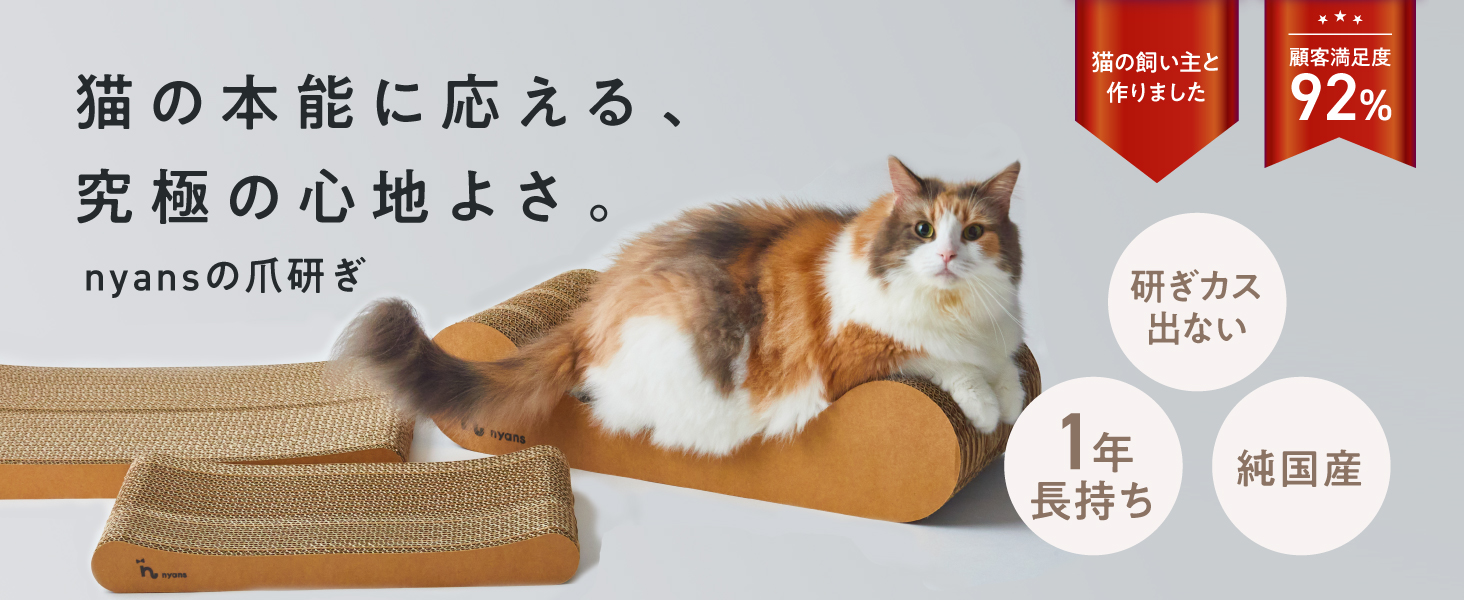 Amazon.co.jp: ニャンズ