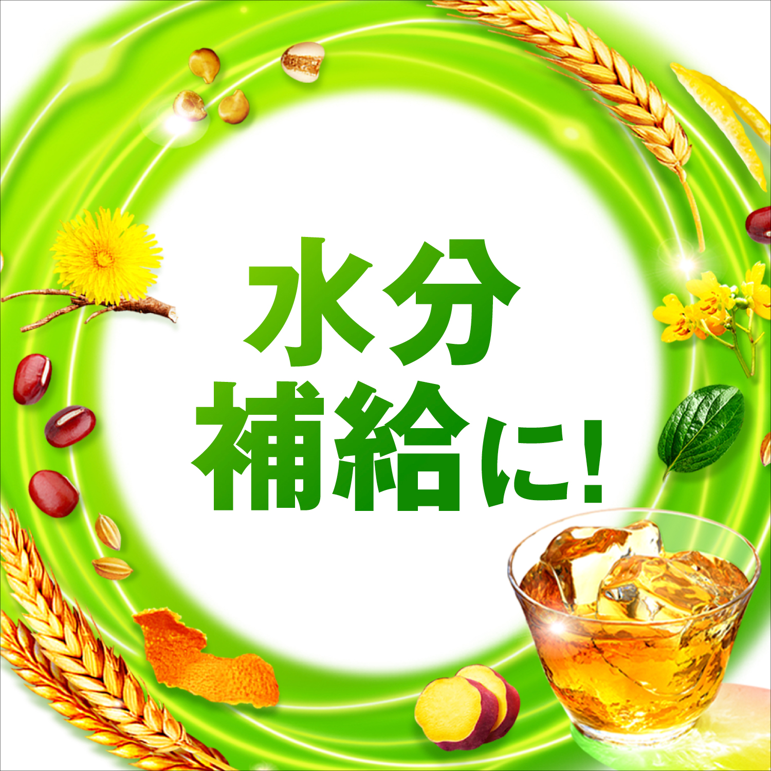 十六茶様⭐︎専用！ Amazon.co.jp: 十六茶: 十六茶本体