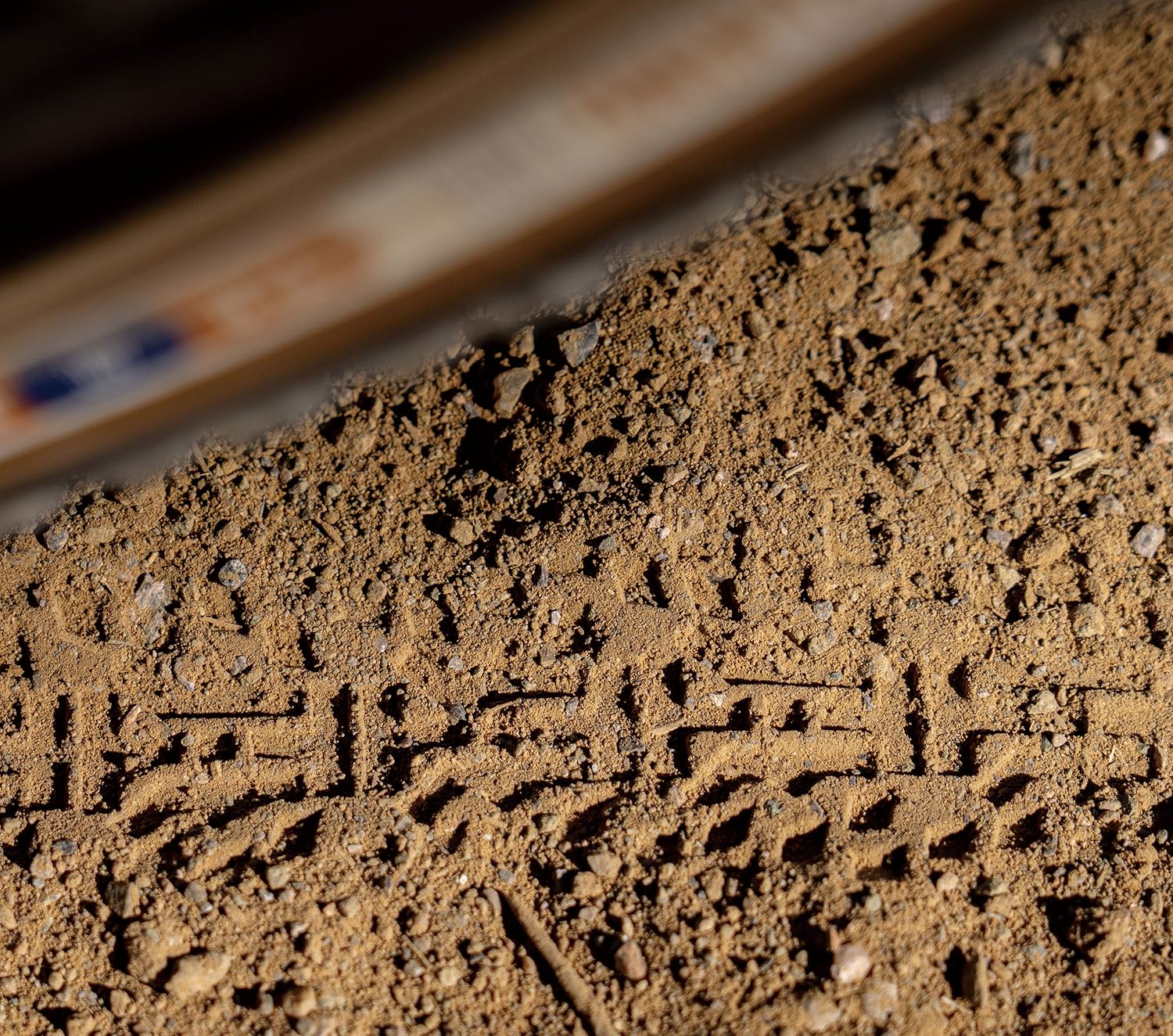 Amazon.co.jp: パナレーサー（Panaracer）: グラベルキング X1