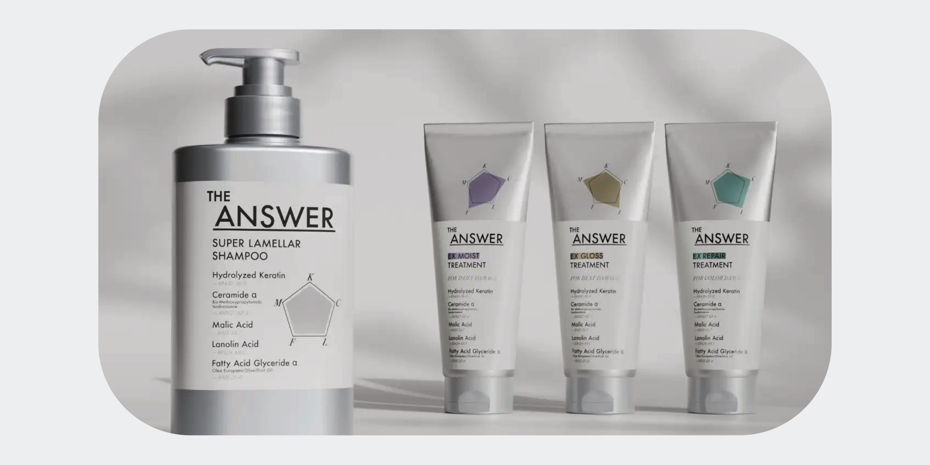 Amazon.co.jp: THE ANSWER