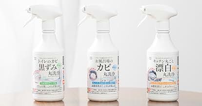 Amazon | ワコーズ ECP eクリーンプラス 遅効性エンジン内部洗浄