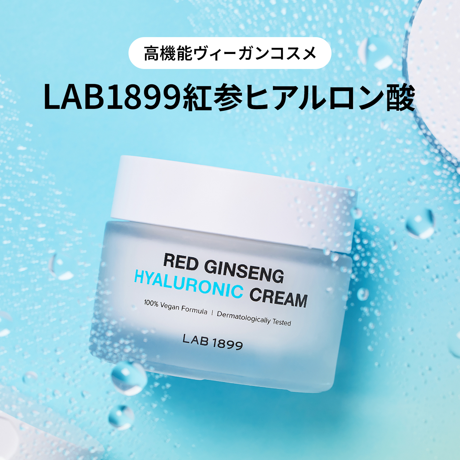 Amazon.co.jp: ドンインビ(Donginbi)